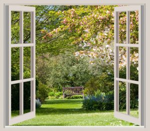 Photo de fenêtre ouverte sur jardin