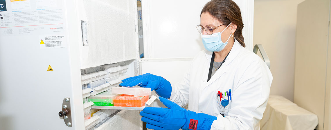 centre de ressource biologique tumorothèque-prelevement congélateurs